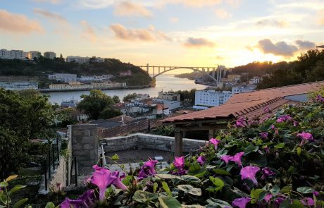 מסורת בת 150 שנה נשברת, בצירי פורט 2016 ו 2017 יוצאים לשוק