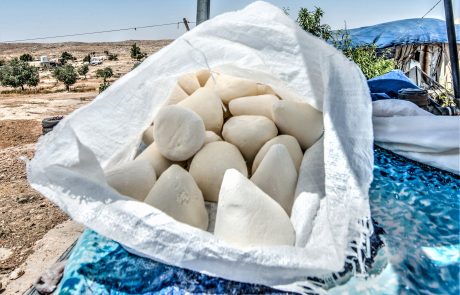 אלו גבינות אכלו אבותינו?