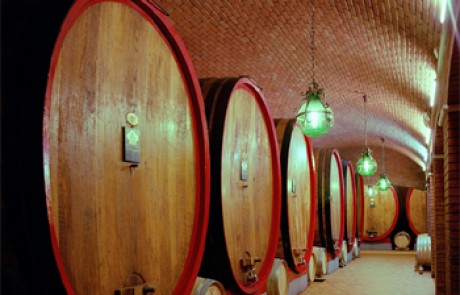 אמרונה – הענק האלגנטי