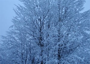 סקי בקורשבל